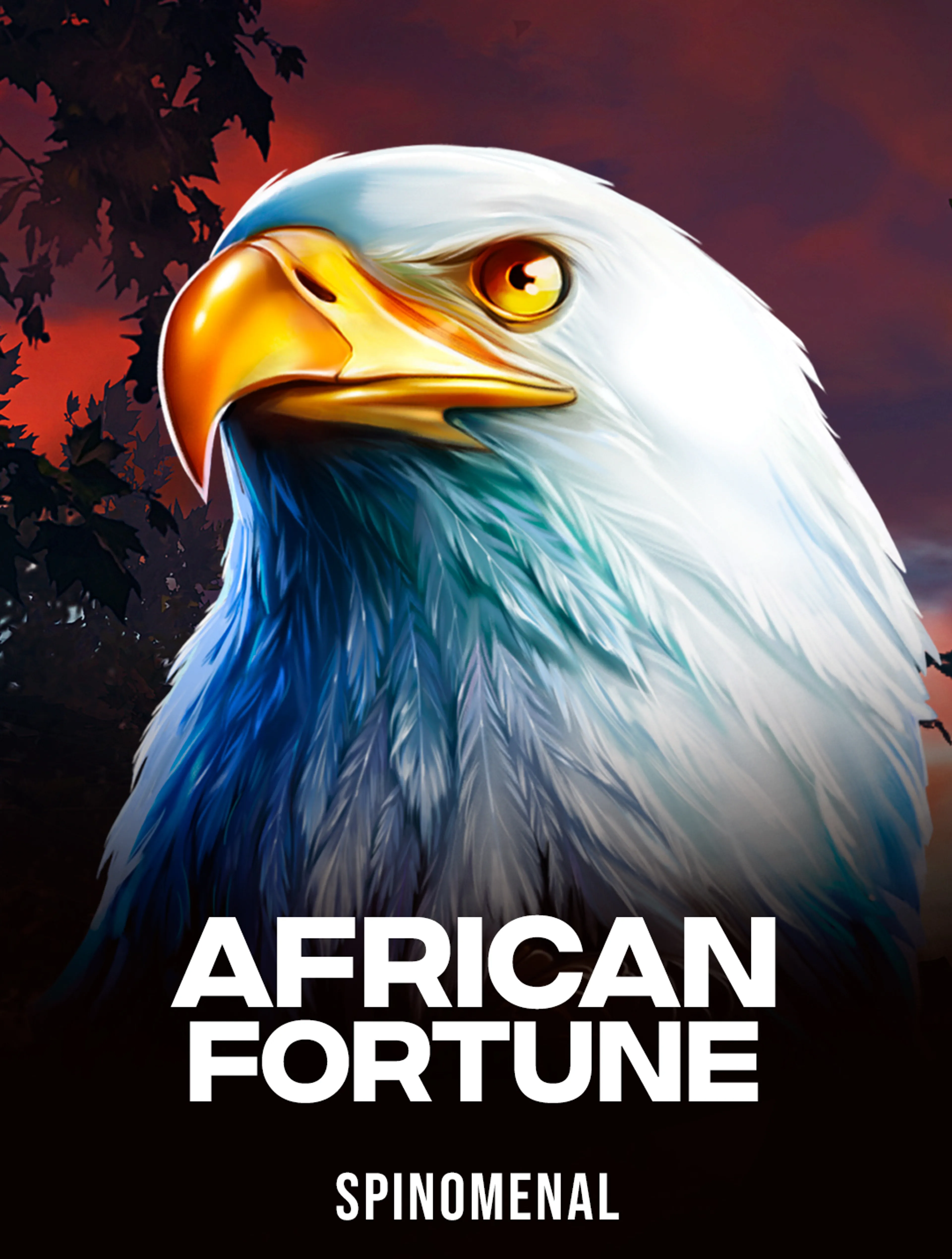 African Fortune