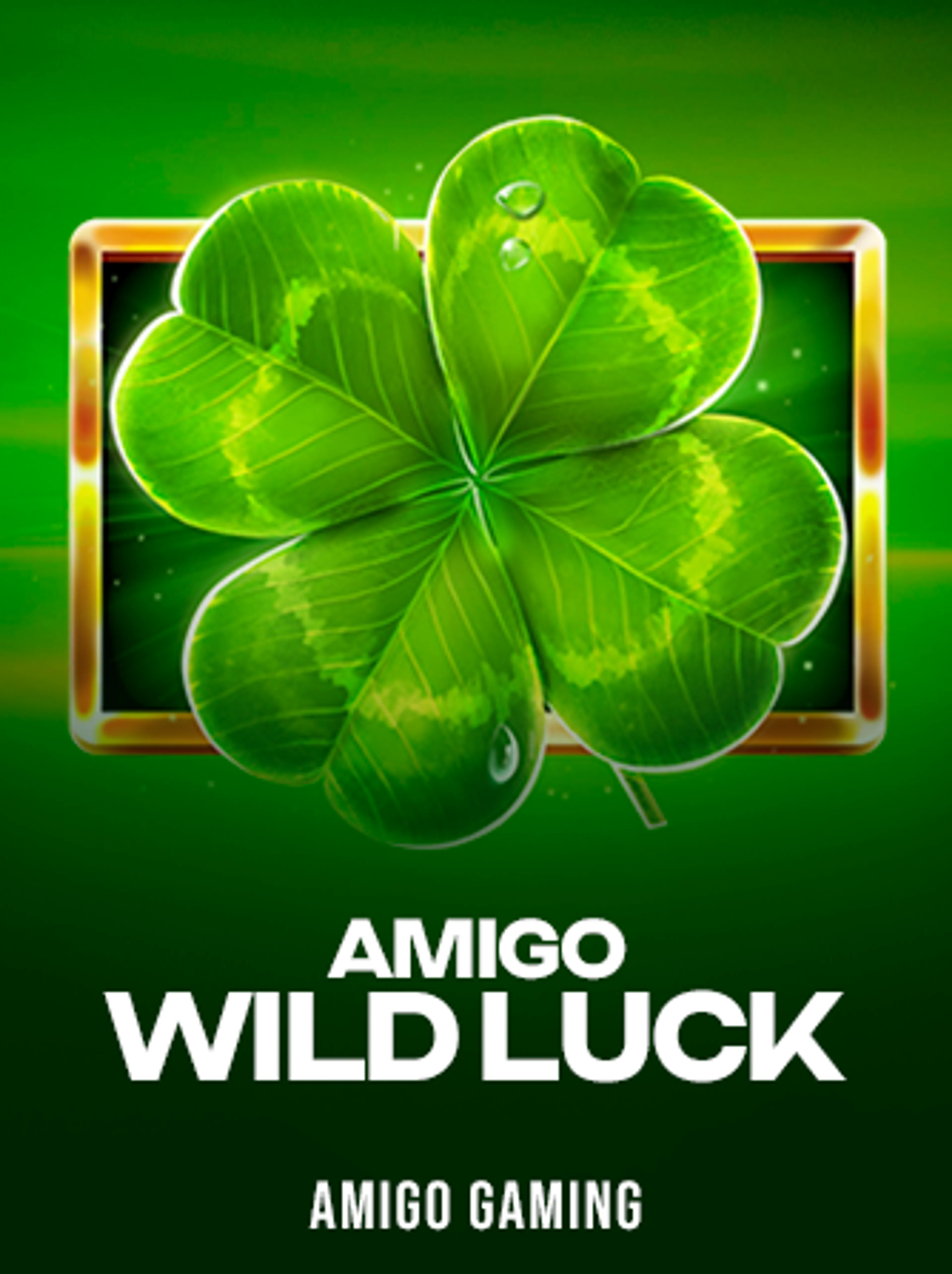 Amigo WIld Luck