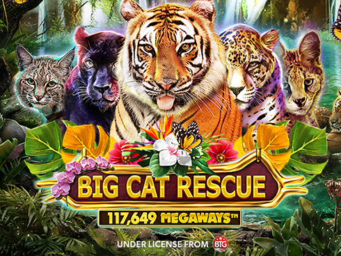 Big Cat Rescue Megaways slot