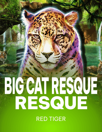 Big Cat Rescue MegaWays