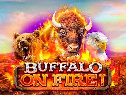 Buffalo on fire!
