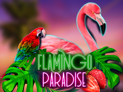 Flamingo Paradise