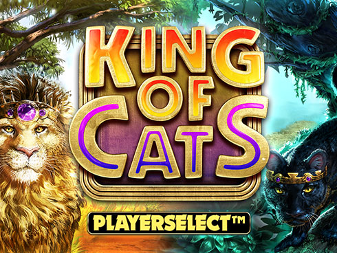 King of Cats