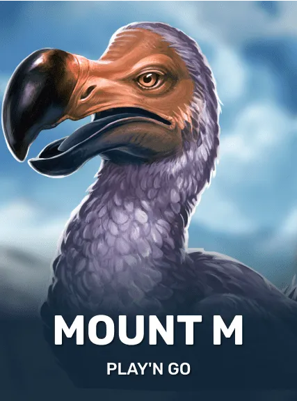 Mount M slot