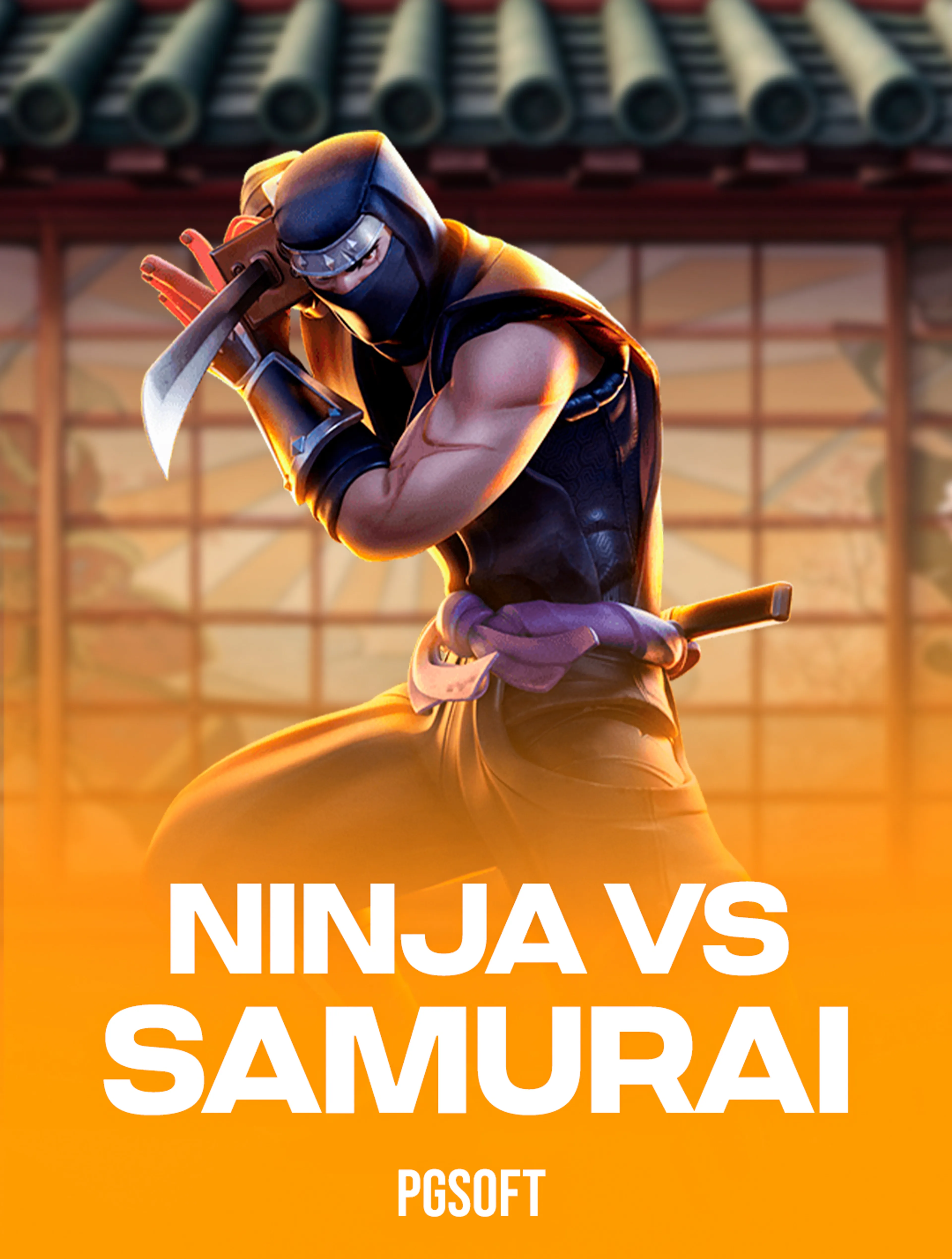 Ninja vs Samurai