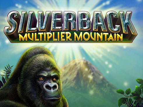 Silverback: Multiplier Mountain