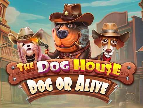 The Dog House – Dog or Alive