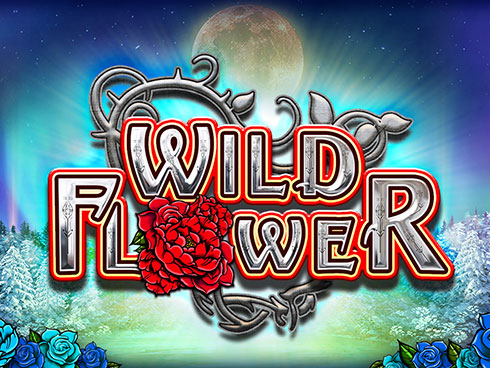 Wild Flower