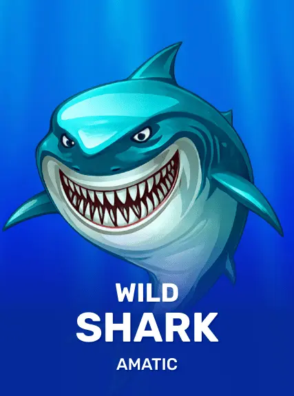 Wild Shark